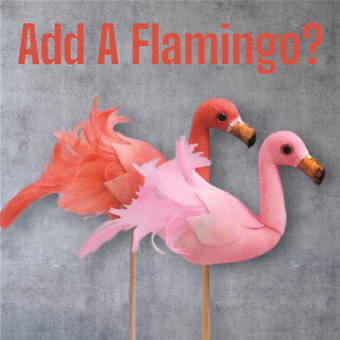 Add A Flamingo?